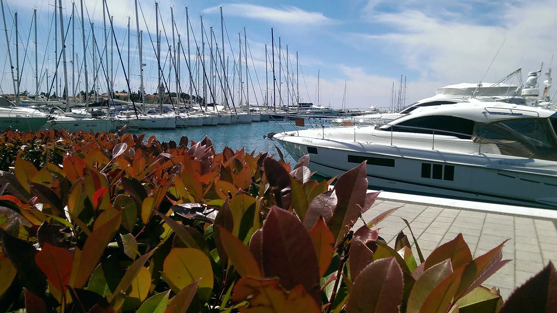 Boutique Hotel Nautica - Spa & Wellness, Free Parking, Pet Friendly Novigrad Istria 4*,  Κροατία